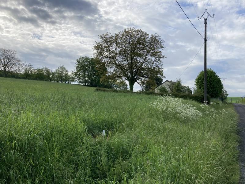 Vente Terrain NOYANT DE TOURAINE - -830 m² - (37800)