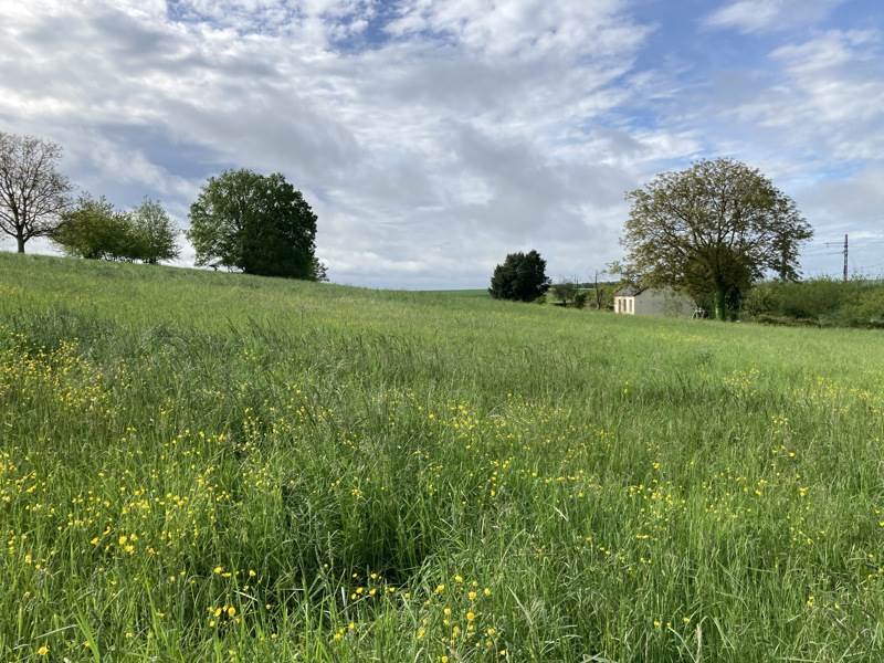 Vente Terrain NOYANT DE TOURAINE - -830 m² - (37800)