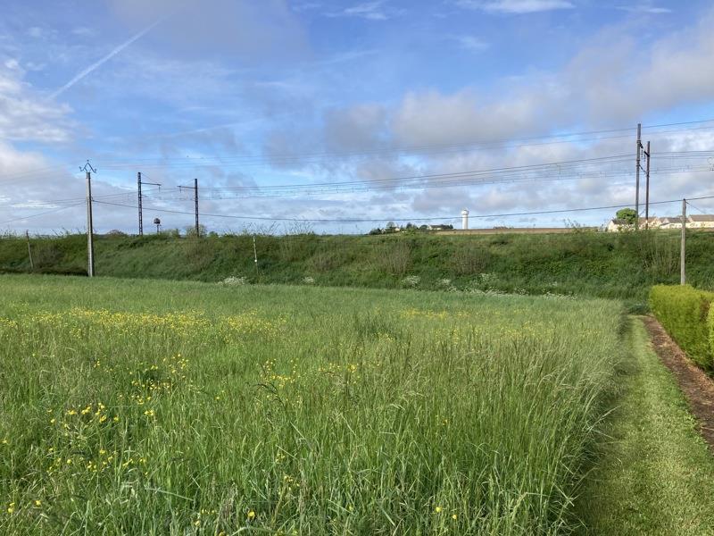 Vente Terrain NOYANT DE TOURAINE - -820 m² - (37800)