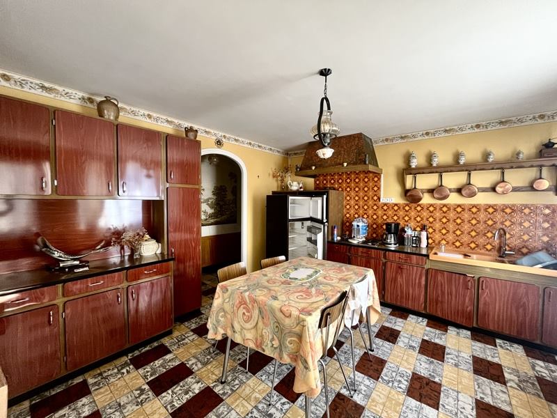 Vente Immeuble STE MAURE DE TOURAINE - -  303 m² - (37800)