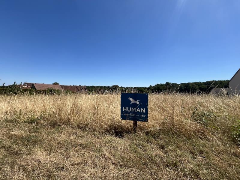 Vente Terrain Saint-Épain - -1627 m² - (37800)