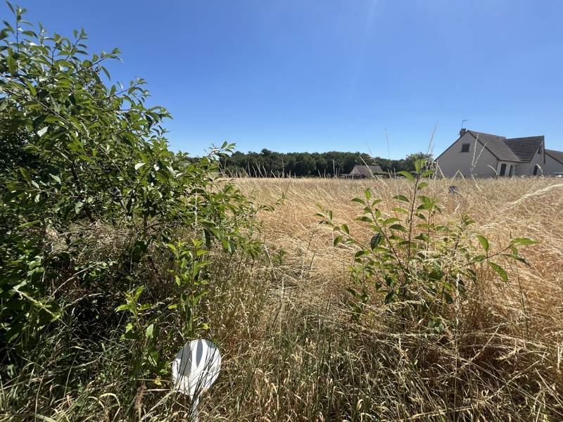 Vente Terrain Saint-Épain - -1627 m² - (37800)