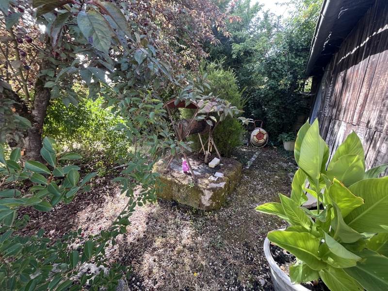 Vente Maison Dangé-Saint-Romain - 9 pièces -272 m² - (86220)