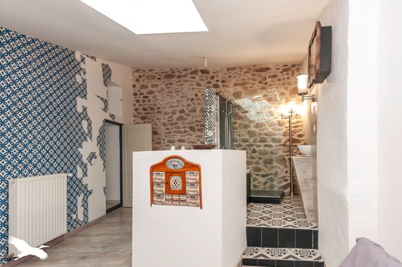 Vente Maison SALASC - 8 pièces -234 m² - (34800)