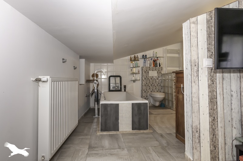 Vente Maison SALASC - 8 pièces -234 m² - (34800)