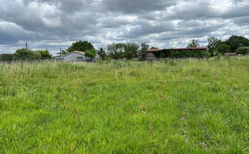 Vente Terrain AMBARES ET LAGRAVE - -900 m² - (33440)