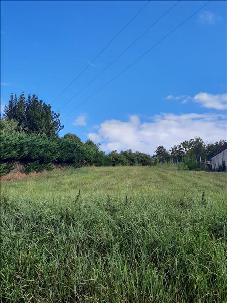 Vente Terrain MONTRICHARD VAL DE CHER - -1710 m² - (41400)