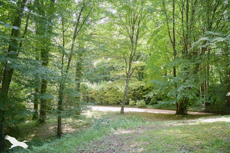 Vente Maison MONTRICHARD VAL DE CHER - 7 pièces -460 m² - (41400)