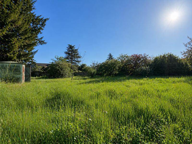Vente Terrain PONTLEVOY - -1535 m² - (41400)