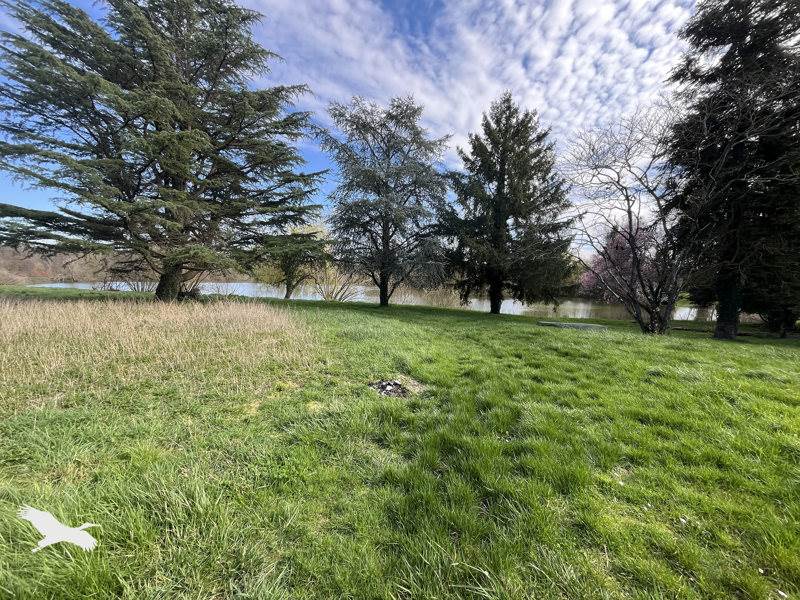 Vente Maison ST GEORGES SUR CHER - 16 pièces -234 m² - (41400)