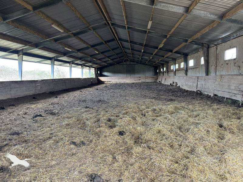 Vente Maison ST GEORGES SUR CHER - 16 pièces -234 m² - (41400)