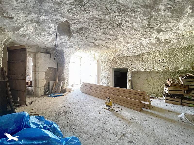 Vente Maison CHISSAY EN TOURAINE - 10 pièces -250 m² - (41400)