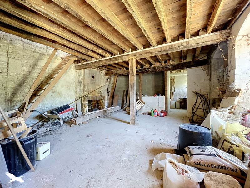 Vente Maison CHISSAY EN TOURAINE - 10 pièces -250 m² - (41400)