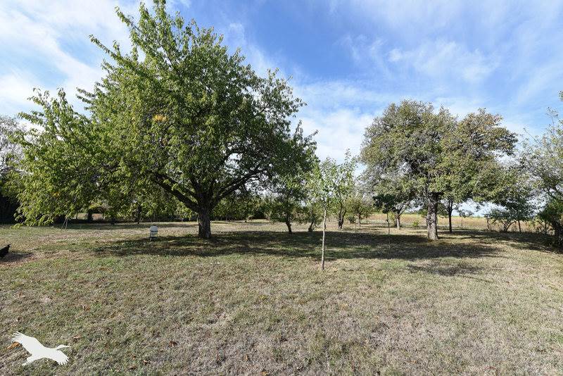 Vente Maison Saint-Julien-de-Chédon - 6 pièces -170 m² - (41400)