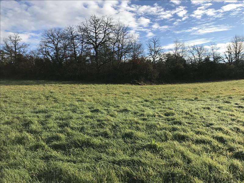 Vente Terrain JUGEALS NAZARETH - -1428 m² - (19500)