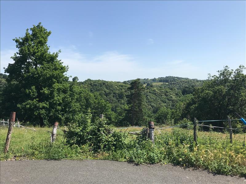 Vente Terrain BEYNAT - -2561 m² - (19190)