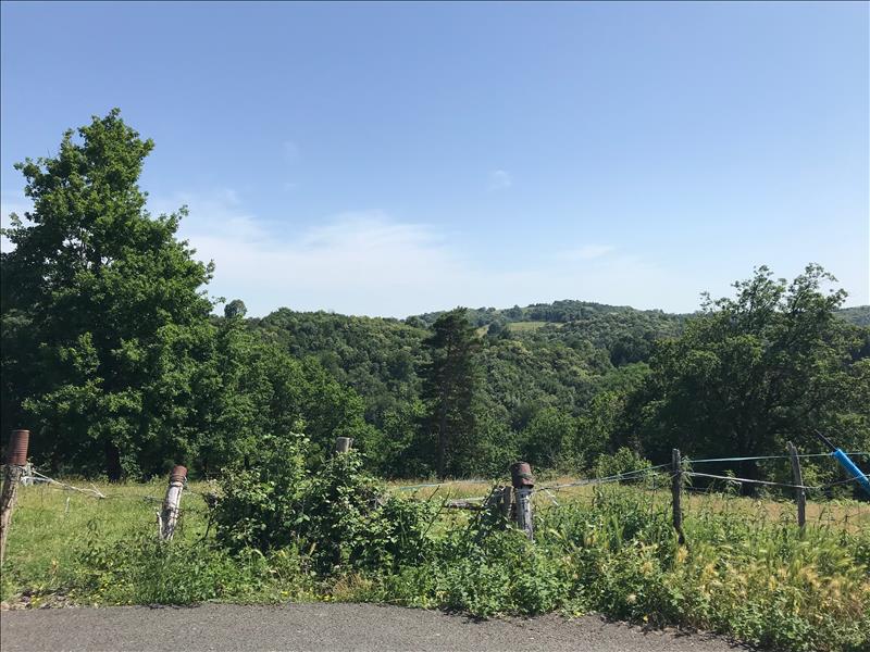 Vente Terrain BEYNAT - -2561 m² - (19190)