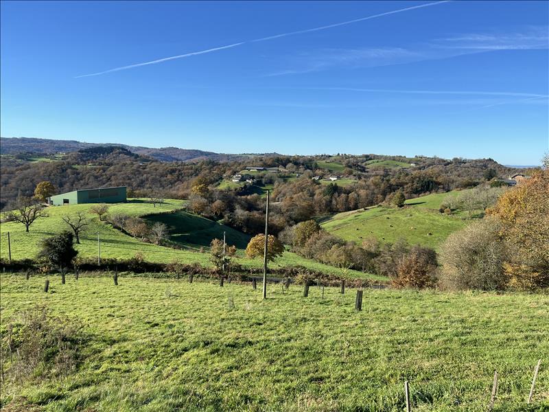 Vente Terrain ALBIGNAC - -8153 m² - (19190)