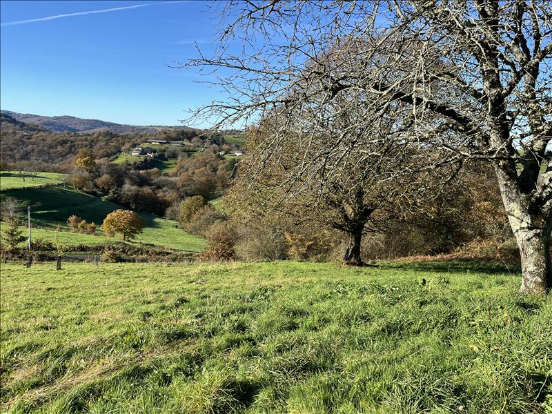 Vente Terrain ALBIGNAC - -8153 m² - (19190)