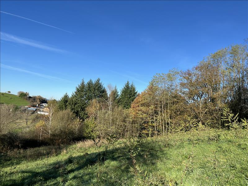 Vente Terrain ALBIGNAC - -8153 m² - (19190)