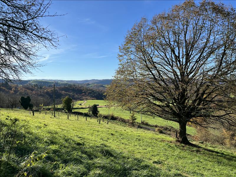 Vente Terrain ALBIGNAC - -8153 m² - (19190)