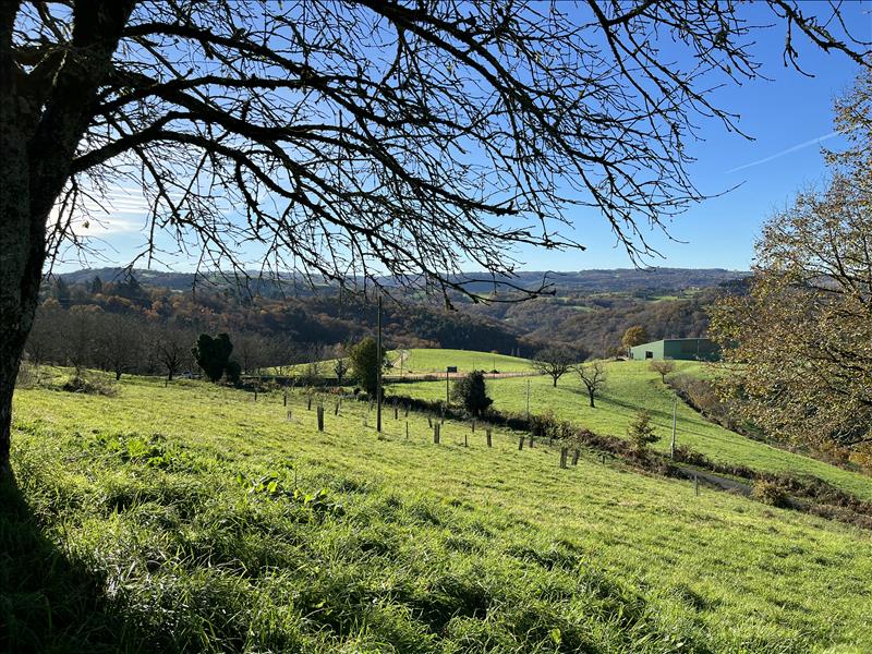 Vente Terrain ALBIGNAC - -8153 m² - (19190)