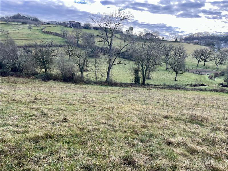 Vente Terrain MEYSSAC - -3148 m² - (19500)