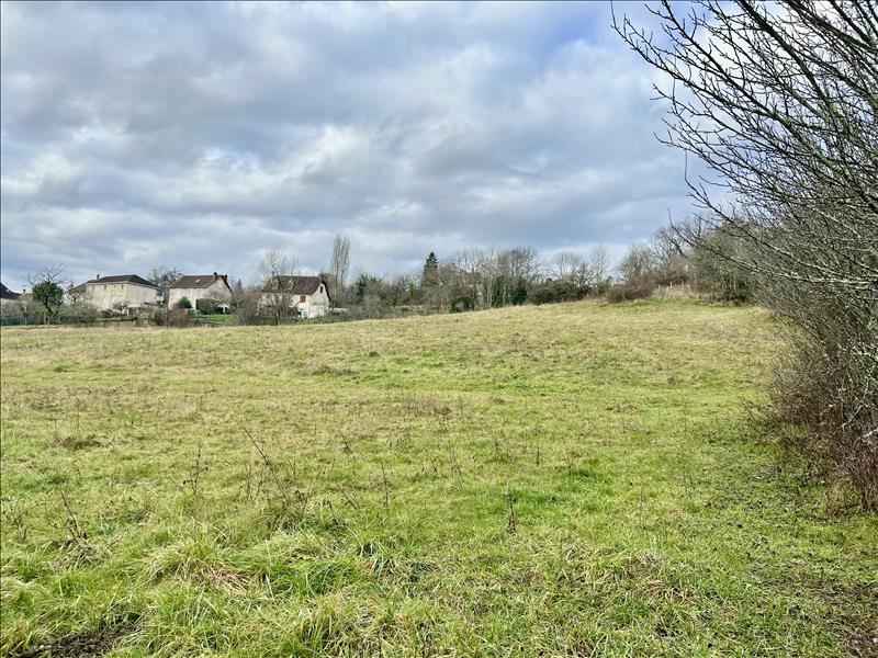 Vente Terrain MEYSSAC - -3148 m² - (19500)