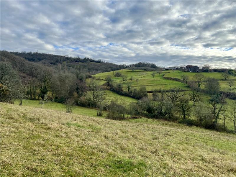 Vente Terrain MEYSSAC - -7150 m² - (19500)