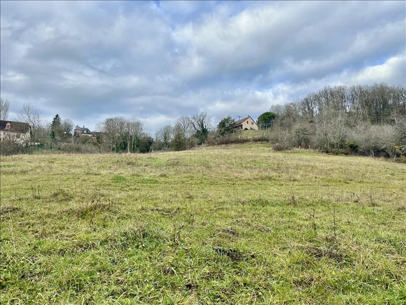 Vente Terrain MEYSSAC - -7150 m² - (19500)