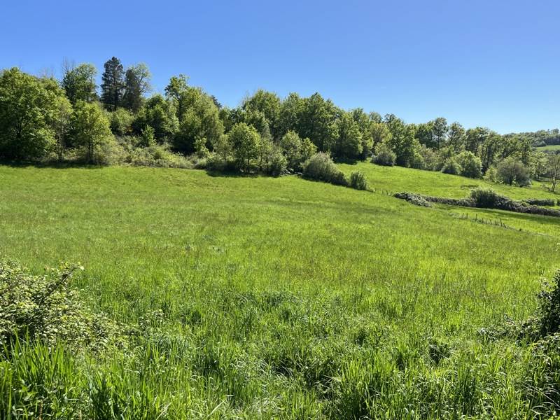 Vente Terrain MEYSSAC - -14859 m² - (19500)