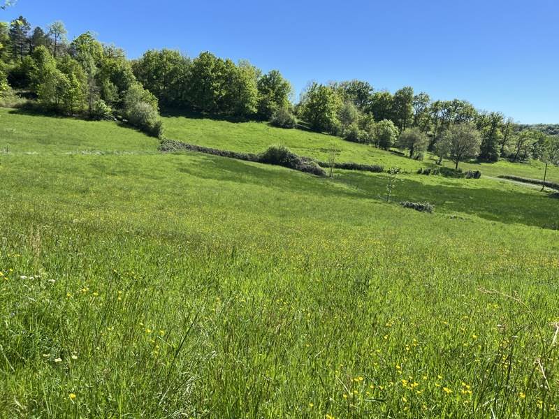 Vente Terrain MEYSSAC - -14859 m² - (19500)