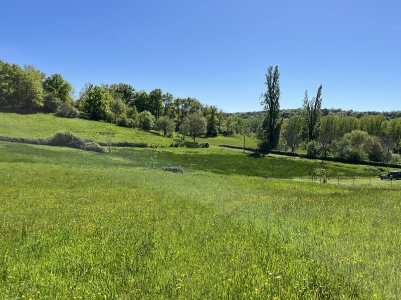 Vente Terrain MEYSSAC - -14859 m² - (19500)