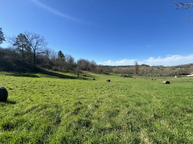 Vente Terrain MEYSSAC - -14859 m² - (19500)