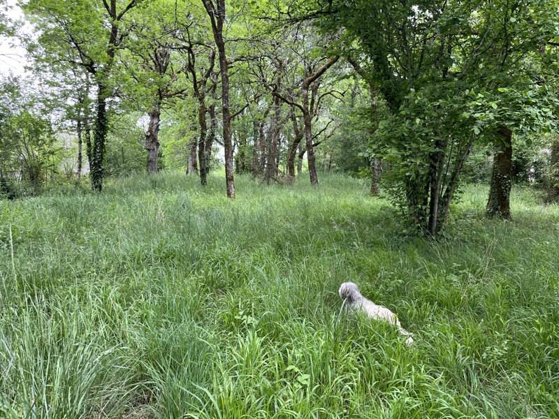 Vente Terrain CHAUFFOUR SUR VELL - -1940 m² - (19500)