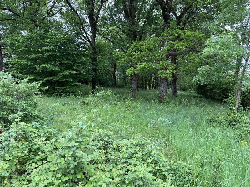 Vente Terrain CHAUFFOUR SUR VELL - -1940 m² - (19500)