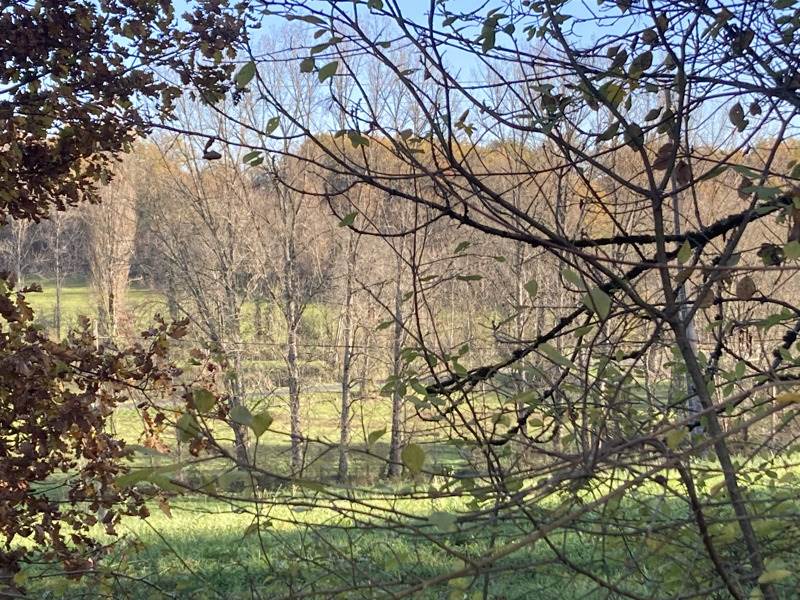 Vente Terrain MEYSSAC - -3475 m² - (19500)