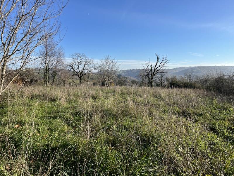 Vente Terrain BEYNAT - -1780 m² - (19190)