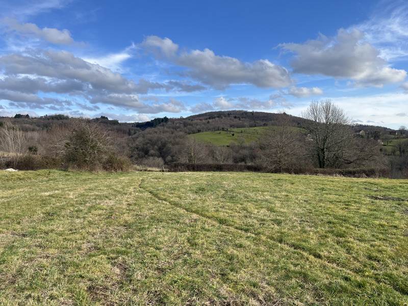 Vente Terrain LE PESCHER - -3576 m² - (19190)