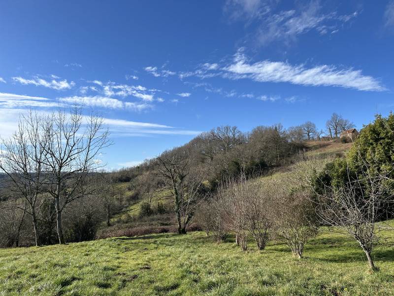Vente Terrain MEYSSAC - -2362 m² - (19500)