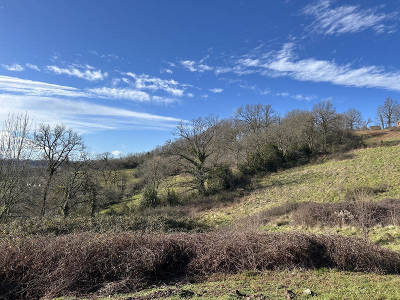 Vente Terrain MEYSSAC - -2362 m² - (19500)