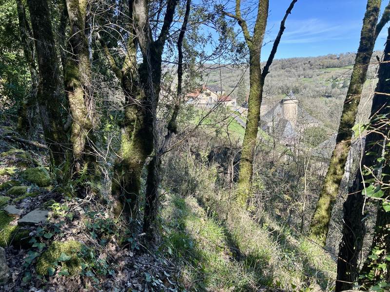 Vente Maison LIGNEYRAC - 5 pièces -107 m² - (19500)