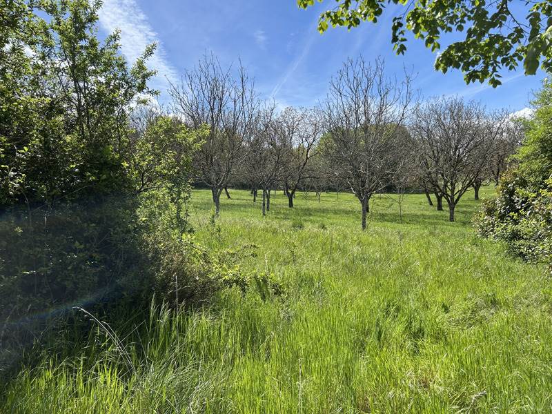 Vente Maison MEYSSAC - 2 pièces -48 m² - (19500)