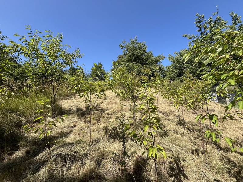 Vente Terrain MEYSSAC - -1207 m² - (19500)