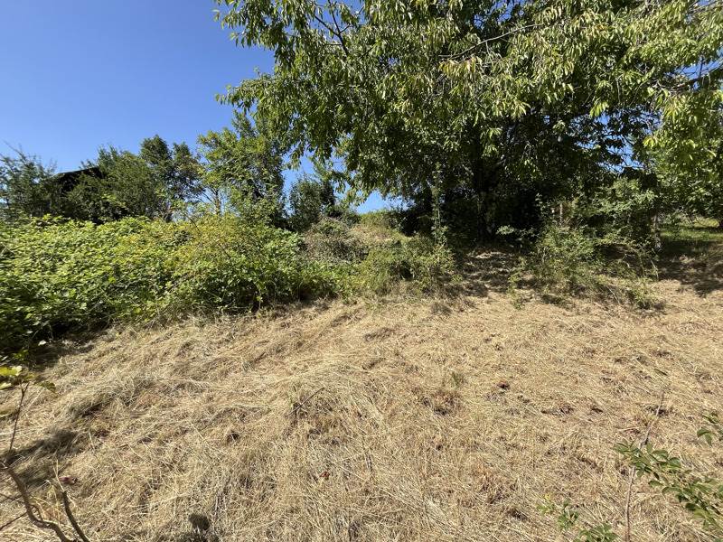 Vente Terrain MEYSSAC - -1207 m² - (19500)
