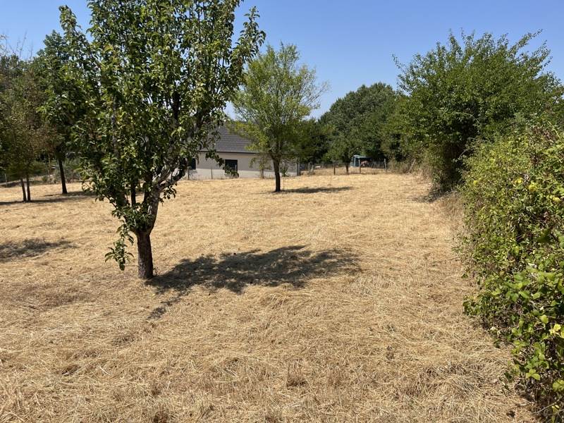 Vente Terrain JUGEALS NAZARETH - -1434 m² - (19500)