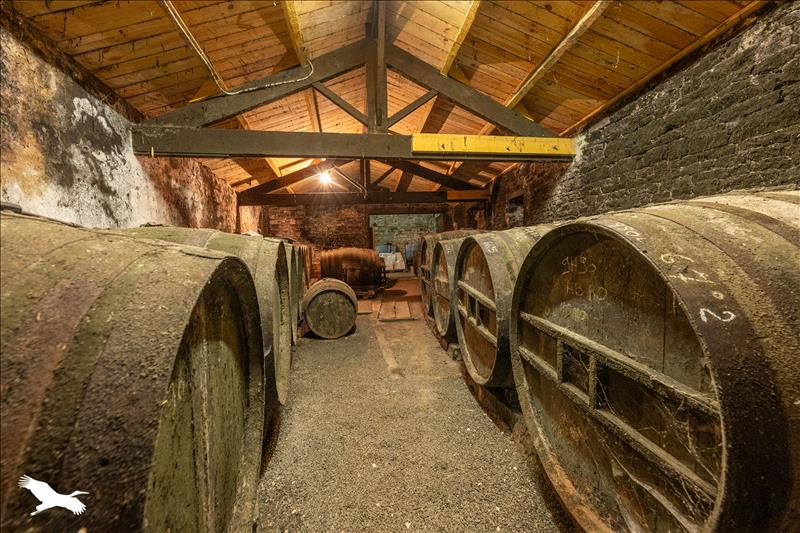 Vente Maison ST PIERRE D OLERON - 3 pièces -76 m² - (17310)