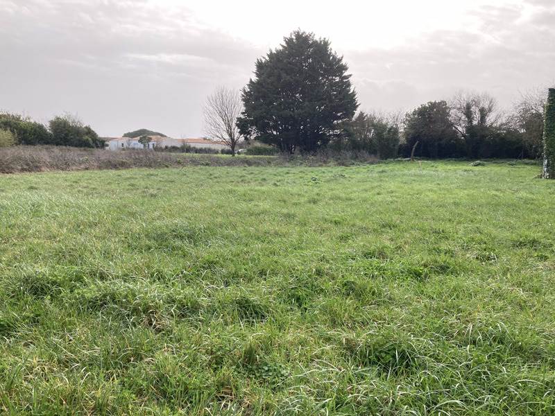 Vente Terrain ST PIERRE D OLERON - -336 m² - (17310)
