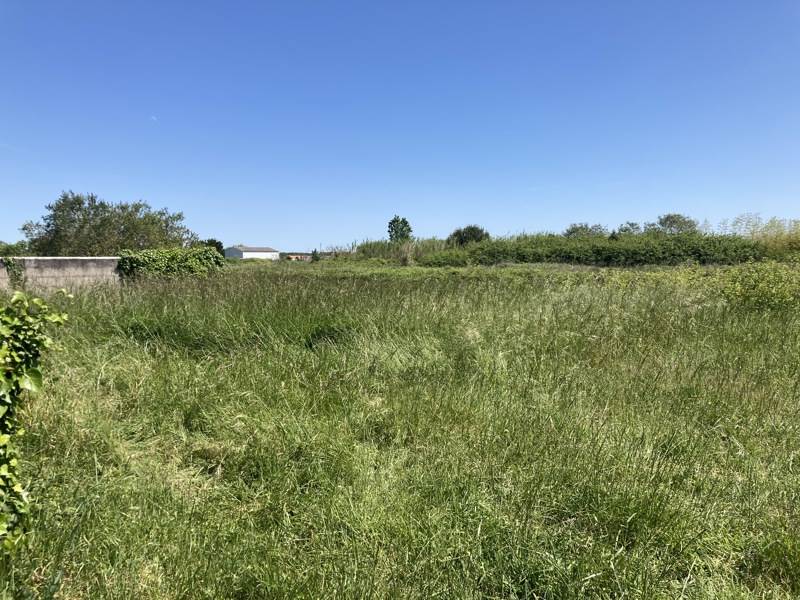 Vente Terrain ST PIERRE D OLERON - -336 m² - (17310)