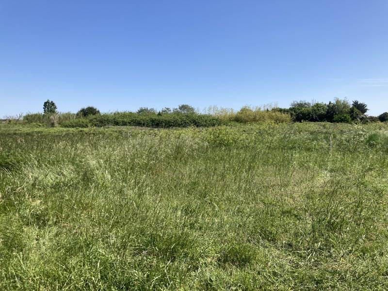 Vente Terrain ST PIERRE D OLERON - -336 m² - (17310)